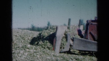 1961: farmer spreading vegetation on ground with bulldozer MISSOURI