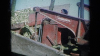 1961: the grandfather is standing with two children holding in hand something
