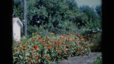 1961: children are walking in garden MISSOURI