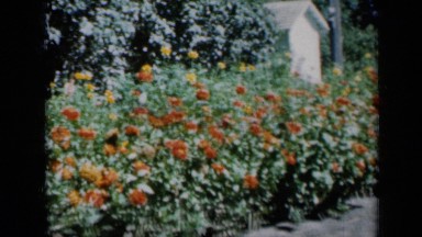 1961: beautiful view of gardens, lots of flower everywhere of garden. MISSOURI
