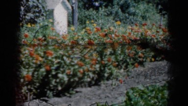 1961: group of people assembled near to to pavilion and garden MISSOURI