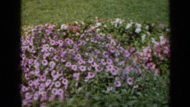 1961: variety of fresh and beautiful flowers available here MISSOURI