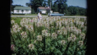 1961: family walks through garden on sunny day. MISSOURI