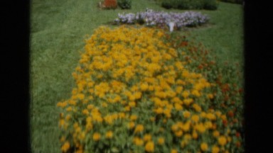 1961: there was park man was walking MISSOURI