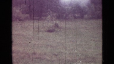 1962: Group of People Arriving for Tour and Sitting on Lawn Near Parked Car