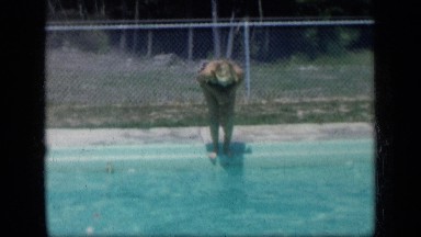 1957: girl stands on edge of pool, then dives in and swims forward in water