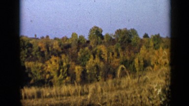 1959: social gathering in country ALEDO TEXAS
