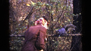 1948: Woman Feeding Friendly Hungry Squirrel in Woods New York