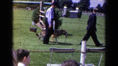 1963: Man Walking Dog While People Watch in England
