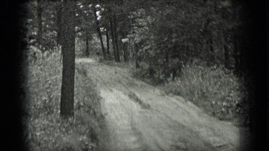 1939: Black and White Scene of an Old Dirt Country Road in a Wooded Forest Area