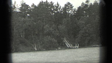 1939: a vast area with large ground edged by forest under the clear sky