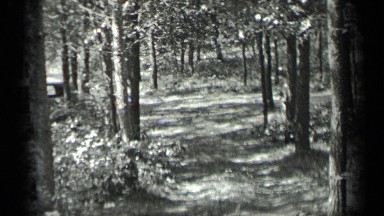1939: viewing forest area LONG LAKE CANADA