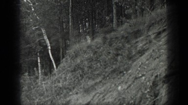 1939: The Beautiful View of Lake Long Lake Canada