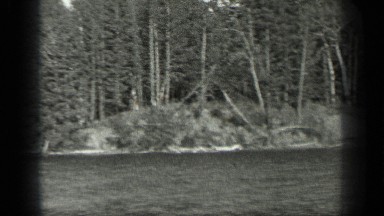 1939: people travelling on the water at the dry forest area for their vacation