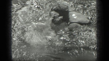 1939: woman swimming in water and practicing her swimming strokes