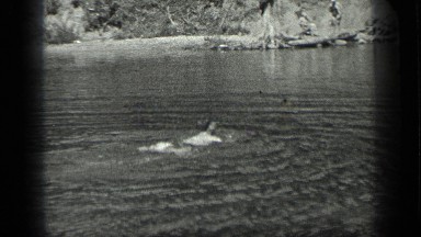 1939: a man swimming in river at morning time,it is very good habit LONG LAKE