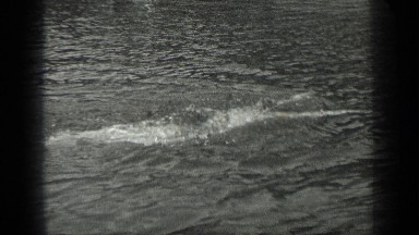 1939: Men Freestyle Stroke Swimming on River at Long Lake Canada