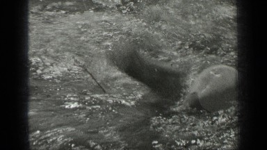1939: blond male and woman wearing a swimming cap, both swimming LONG LAKE