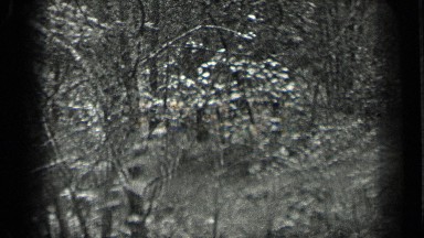 1939: black and white footage of a car amongst a lush forest. LONG LAKE CANADA