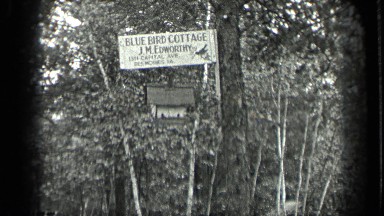 1939: Cute Bluebird Nest in Tree at Long Lake Canada