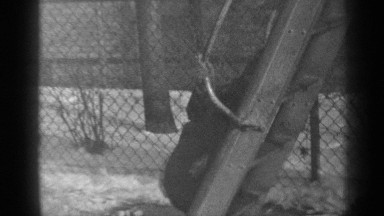 1947: girl goes down slide NEW YORK