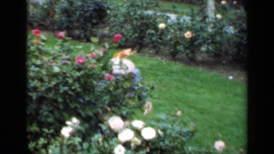1947: a child at park NEW YORK