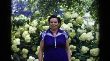 1948: woman wearing blue standing in front of hydrangea bushes NEW YORK