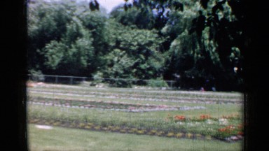 1957: A Family Enjoying a Park Outing in Chicago