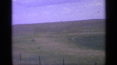 1959: beautiful view of nature COLORADO