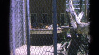 1959: birds are living in and enjoying the place COLORADO