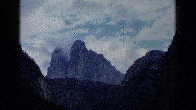 1960: beautiful view of nature VENICE ITALY