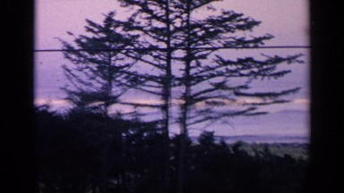 1963: Beautiful View of Nature in California