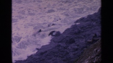 1963: Beautiful Sea and Sandy Shores in California