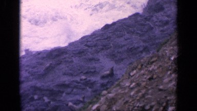 1963: Seals Float, Move, and Lie on Rocky Foundation While Waves Crash California
