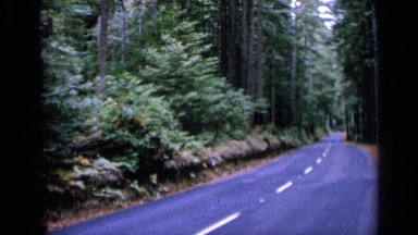 1963: gorgeous wooded view along a mountain highway. SAN FRANCISCO CALIFORNIA