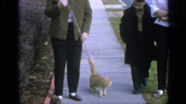 1965: two women and a young boy walking an orange cat on a leash