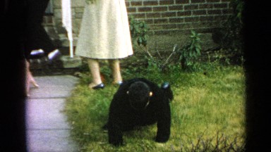 1965: people gathered around their home in the yard with their dog there too