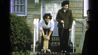 1965: the beautiful view of the animal LONG ISLAND NEW YORK