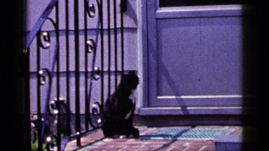 1965: cat is standing outside of the door of house which is black in color