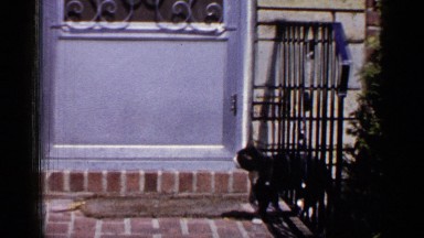 1965: the cat at the garden LONG ISLAND NEW YORK