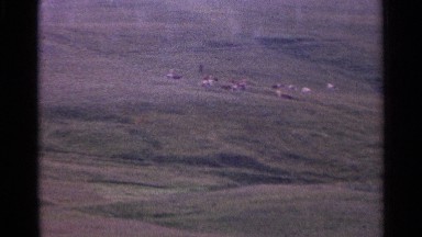 1961: camera pans to show hilly pastoral land and distant industrial