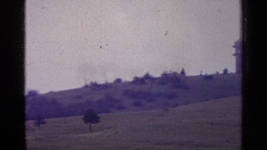 1961: Animals Walking on a Large Farm in Switzerland
