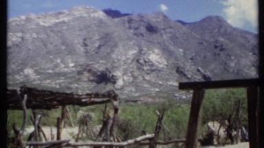 1971: person enjoying in middle of forest place CALIFORNIA