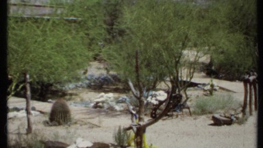 1971: a beautiful landscape with a big mountain range and bushy vegetation