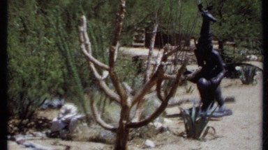 1971: beautiful house in the middle of forest CALIFORNIA