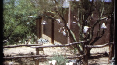1971: there was some small statues and small garden near the house CALIFORNIA