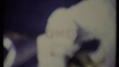 1971: white short-eared puppy tussles with a toy. CALIFORNIA