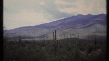 1971: a nature scenery CALIFORNIA