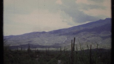 1971: footage slowly zooming into a tree covered mountain. CALIFORNIA