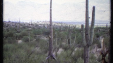 1971: panoramic view of the desert with mountains too! CALIFORNIA